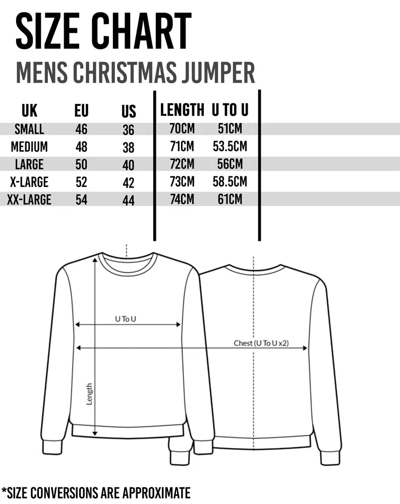 Harry Potter Adults Hogwarts Knitted Christmas Jumper