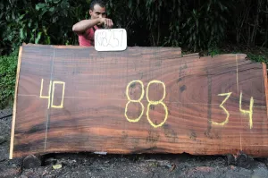 Slab K18251