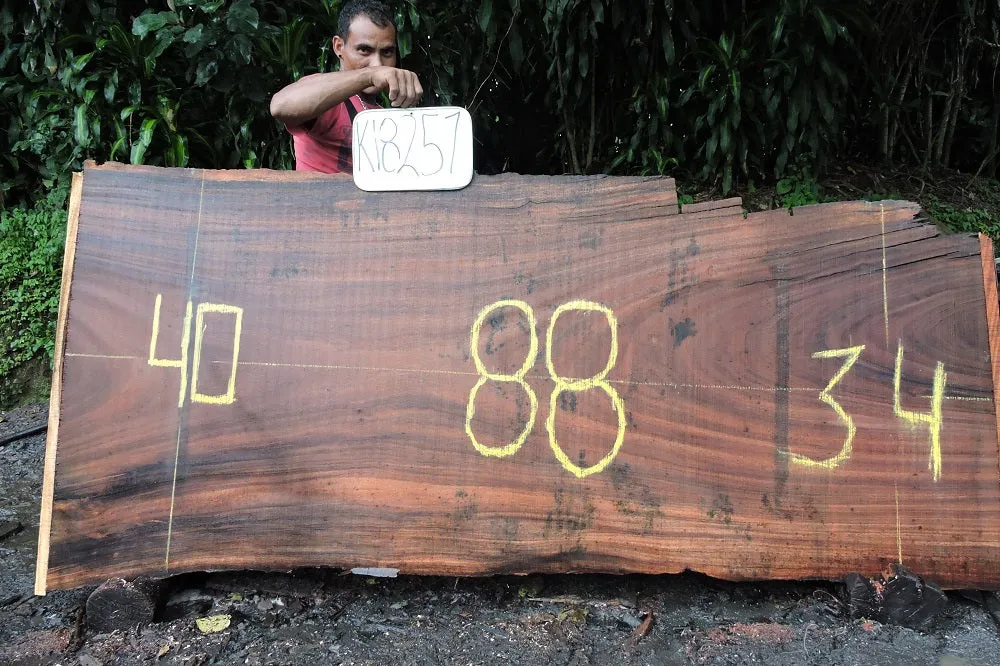 Slab K18251