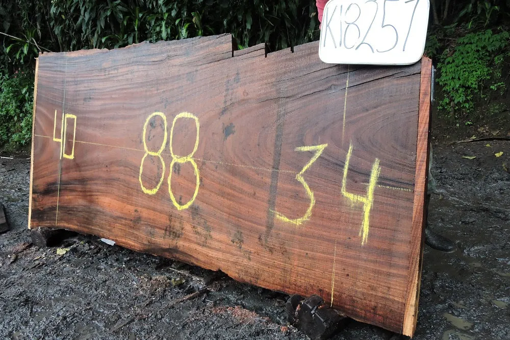 Slab K18251