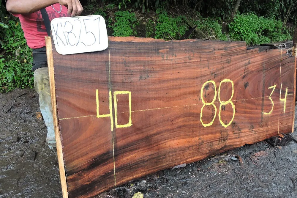 Slab K18251