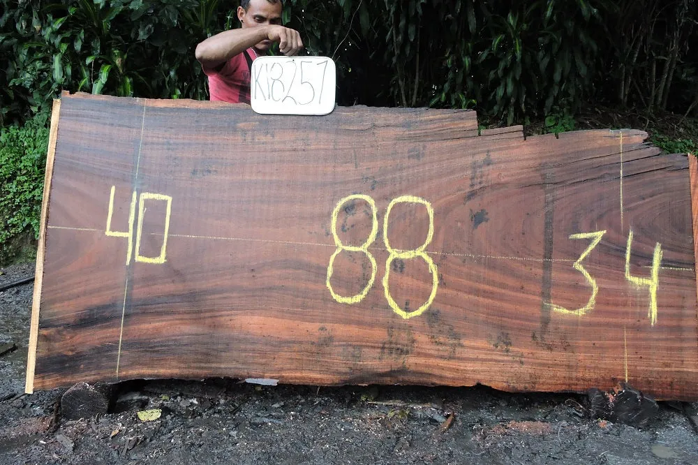 Slab K18251