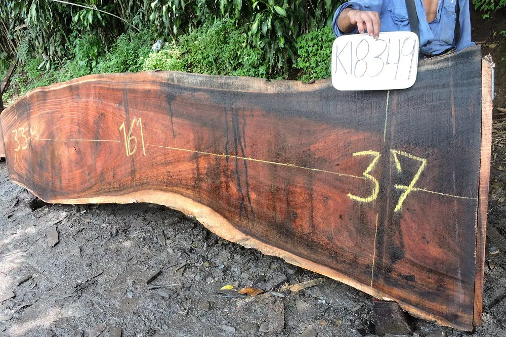 Slab K18349