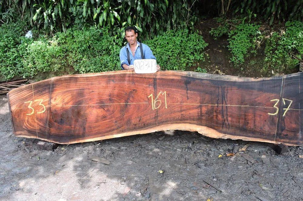 Slab K18349
