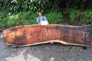 Slab K18349